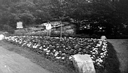 P1000854c.JPG