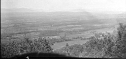 P1000855b.JPG
